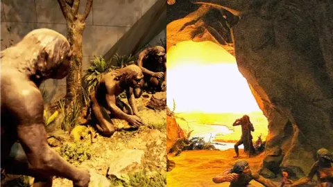 云南深山古人类牙齿