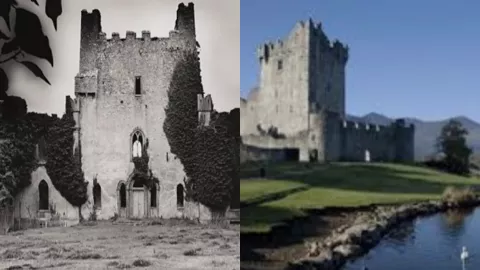 爱尔兰里普城堡