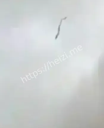 龙的真实起源探讨